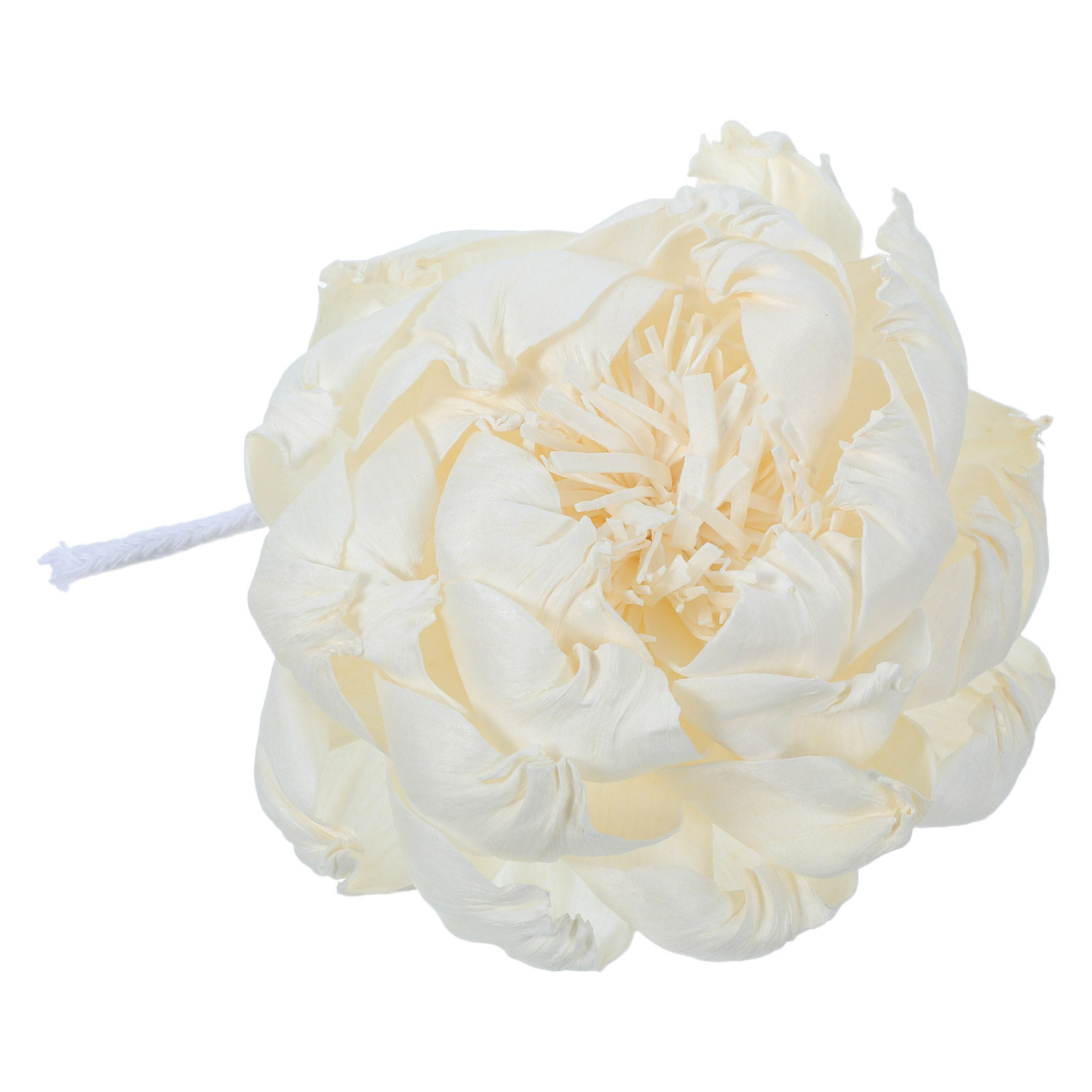 Şakayık Başlı Koku Difüzörü 12 - Home Fragrance Oil Diffuser incelemesi ve fiyatı