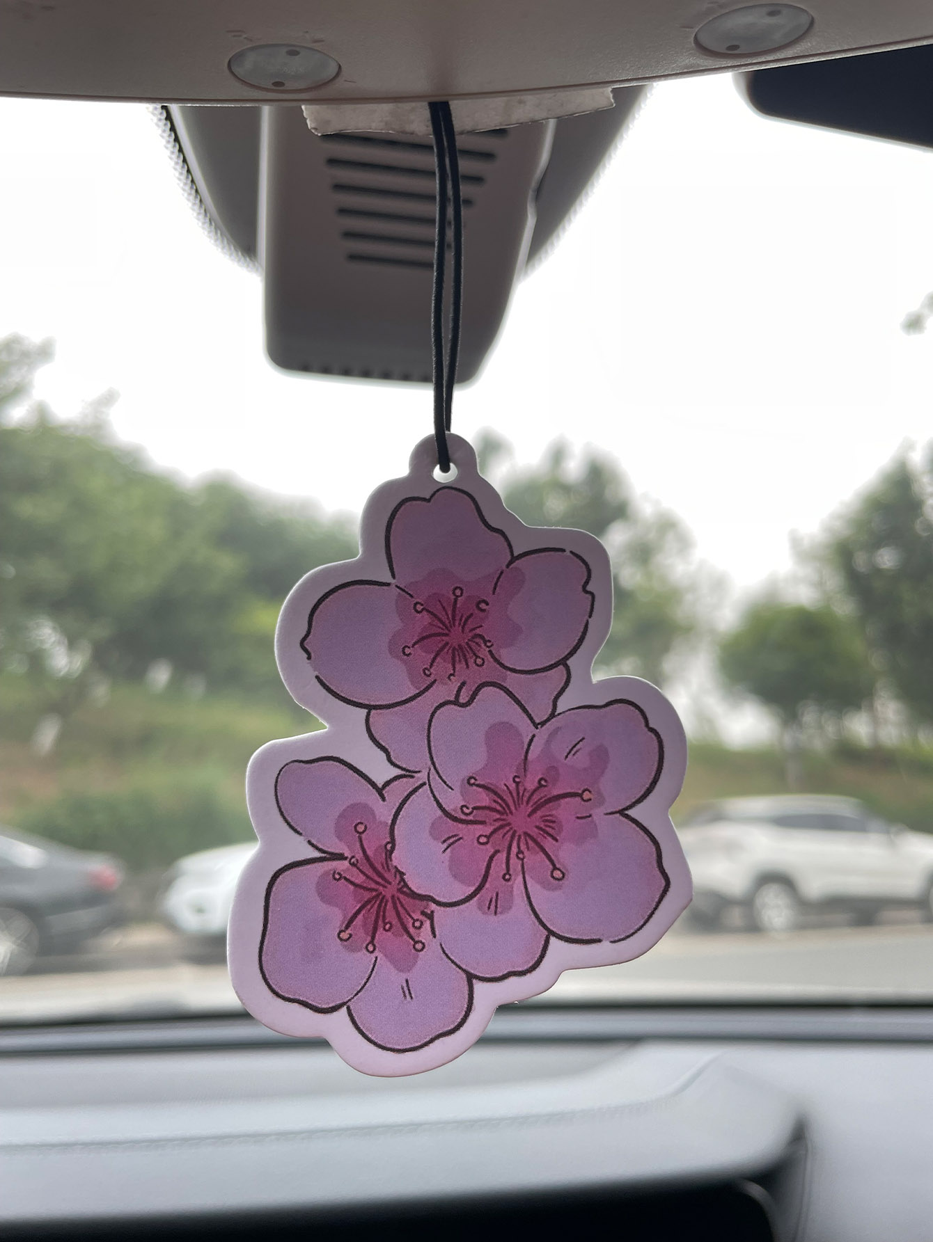 Sakura/Frezya Taze Kokulu Beş  - Home Fragrance Use incelemesi ve fiyatı